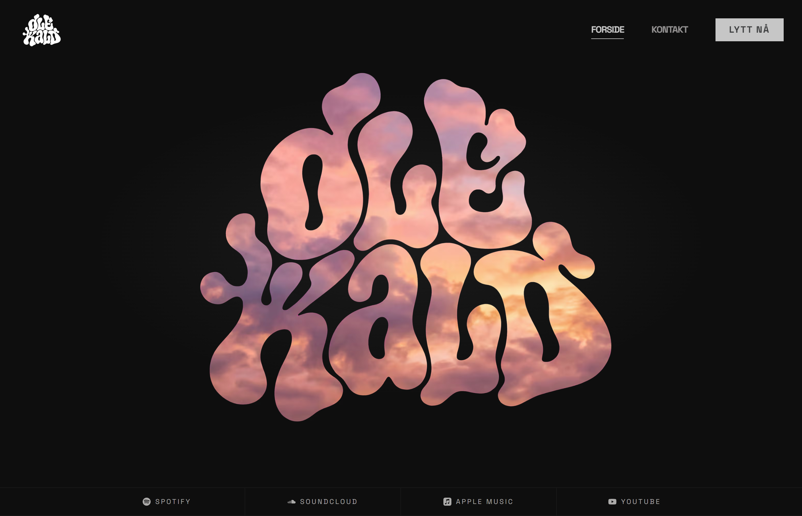 Preview of Ole Kald artist website